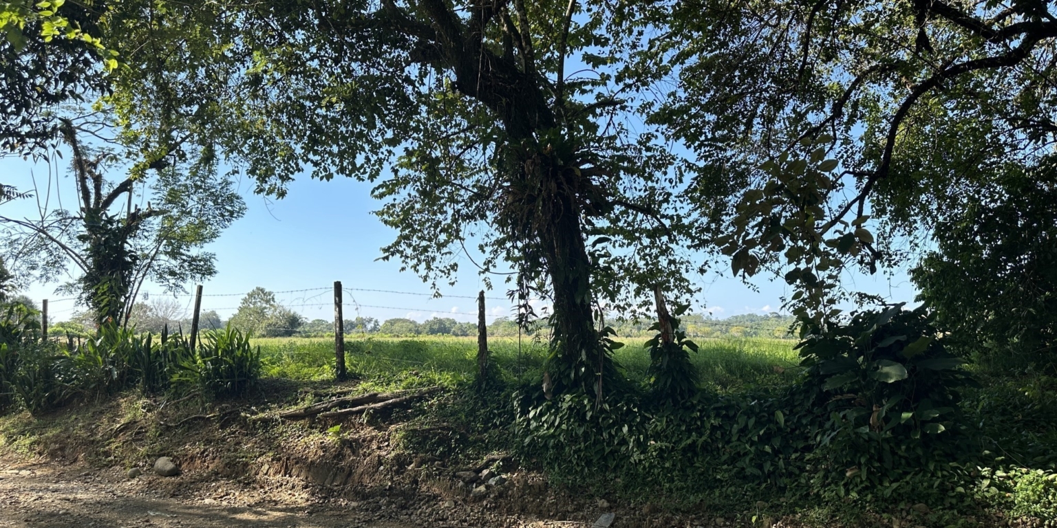 Breezes, Trees & Monkeys – Your Affordable 3-Bedroom Costa Rican Haven with Cabina in Uvita Costa Rica Breezes, Trees & Monkeys – Your Affordable 3-Bedroom Costa Rican Haven with Cabina in Uvita Costa Rica