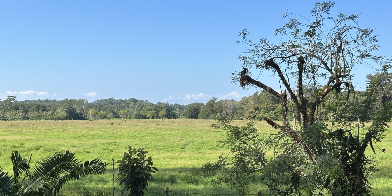 Breezes, Trees & Monkeys – Your Affordable 3-Bedroom Costa Rican Haven with Cabina in Uvita Costa Rica Breezes, Trees & Monkeys – Your Affordable 3-Bedroom Costa Rican Haven with Cabina in Uvita Costa Rica