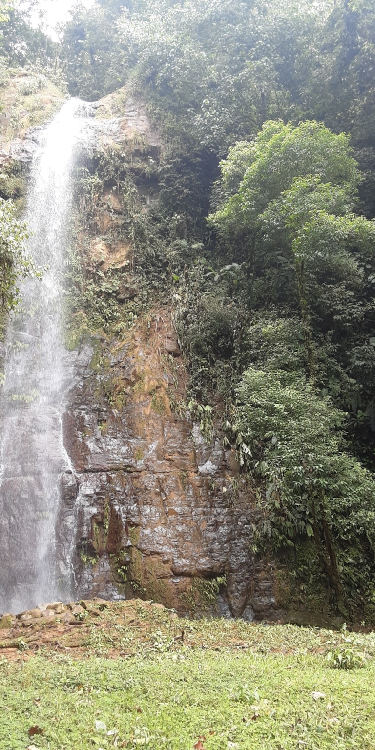 Glorious Finca with Waterfall and Ocean Views Included in Uvita Costa Rica Glorious Finca with Waterfall and Ocean Views Included in Uvita Costa Rica