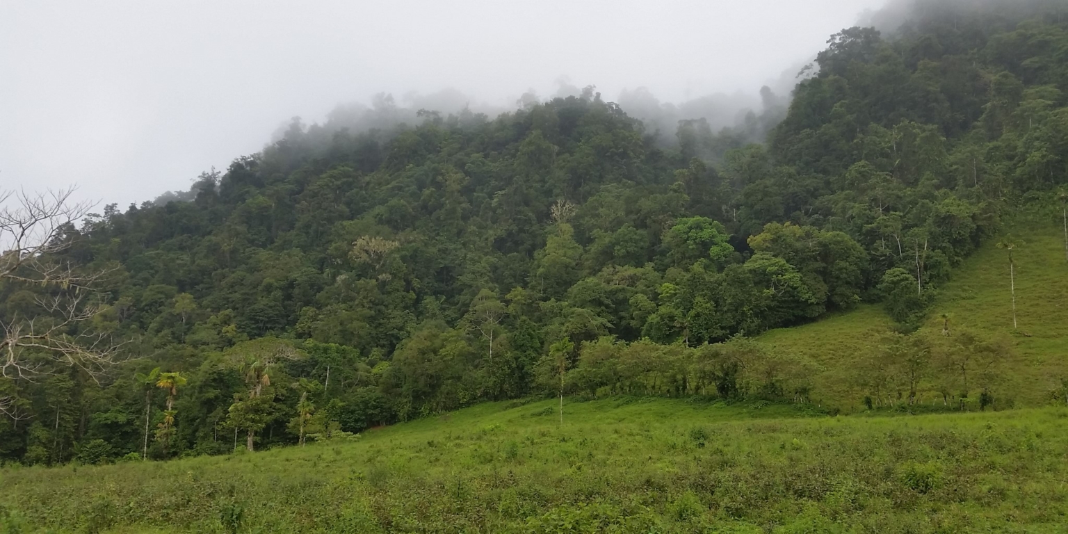 Glorious Finca with Waterfall and Ocean Views Included in Uvita Costa Rica Glorious Finca with Waterfall and Ocean Views Included in Uvita Costa Rica