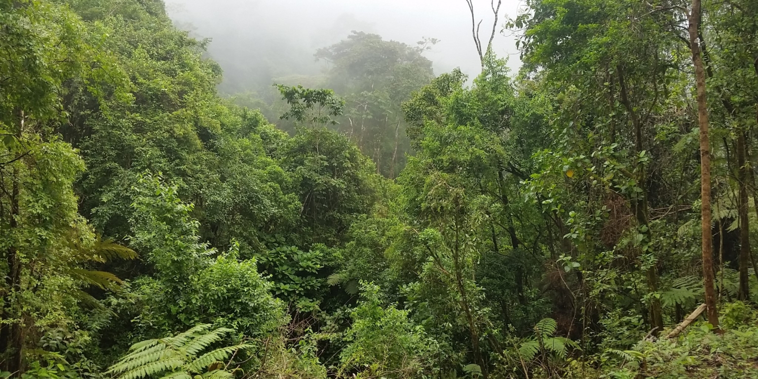 Glorious Finca with Waterfall and Ocean Views Included in Uvita Costa Rica Glorious Finca with Waterfall and Ocean Views Included in Uvita Costa Rica