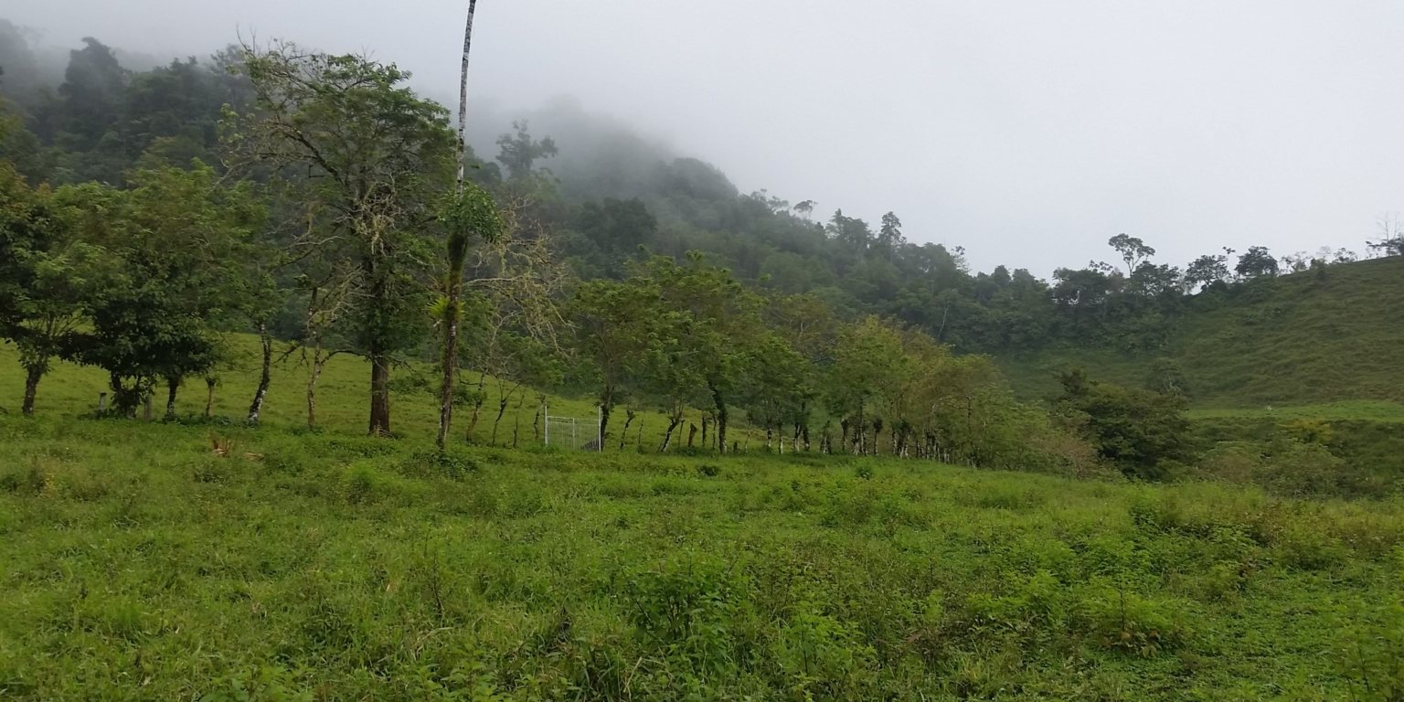 Glorious Finca with Waterfall and Ocean Views Included in Uvita Costa Rica Glorious Finca with Waterfall and Ocean Views Included in Uvita Costa Rica