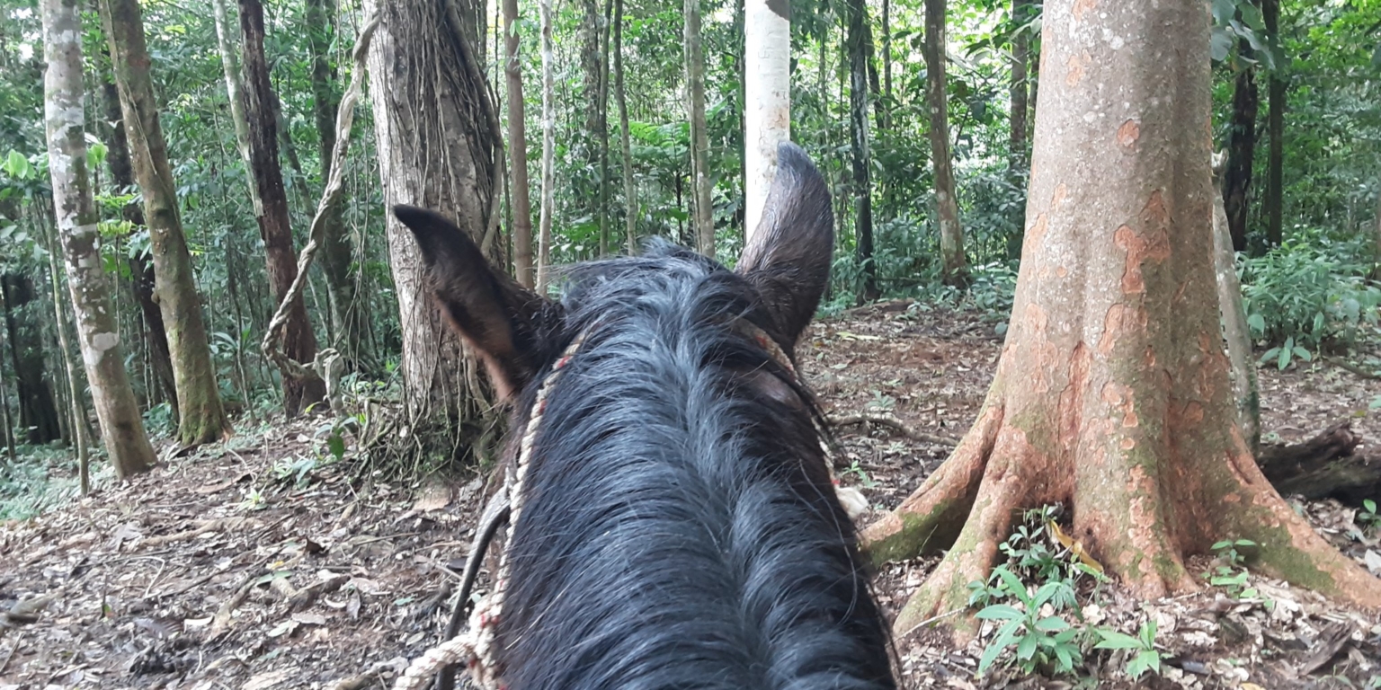 Glorious Finca with Waterfall and Ocean Views Included in Uvita Costa Rica Glorious Finca with Waterfall and Ocean Views Included in Uvita Costa Rica