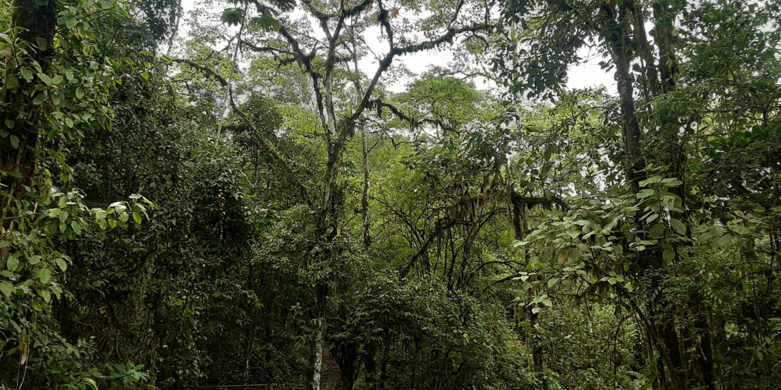 Glorious Finca with Waterfall and Ocean Views Included in Uvita Costa Rica Glorious Finca with Waterfall and Ocean Views Included in Uvita Costa Rica