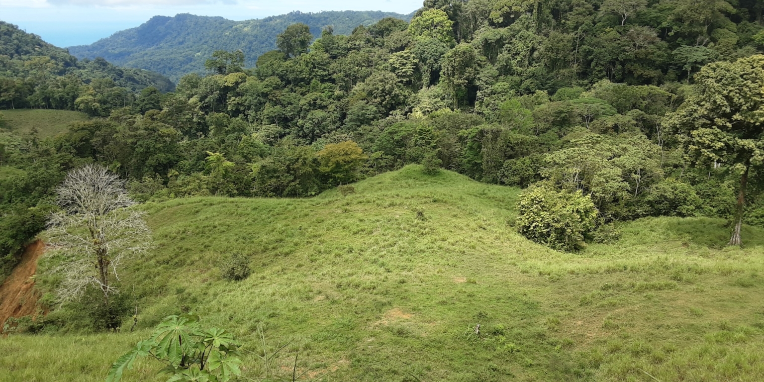 Glorious Finca with Waterfall and Ocean Views Included in Uvita Costa Rica Glorious Finca with Waterfall and Ocean Views Included in Uvita Costa Rica