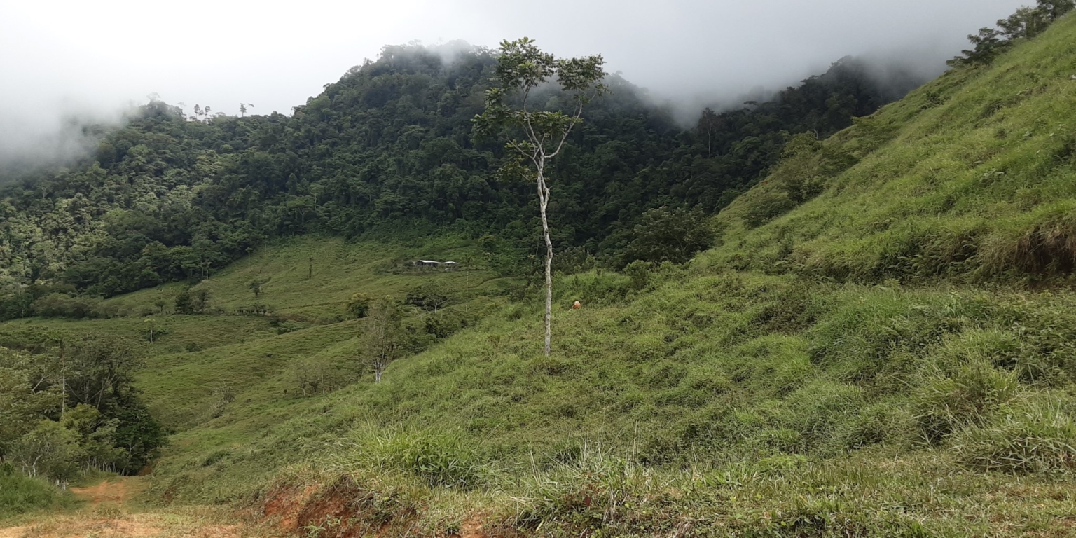 Glorious Finca with Waterfall and Ocean Views Included in Uvita Costa Rica Glorious Finca with Waterfall and Ocean Views Included in Uvita Costa Rica