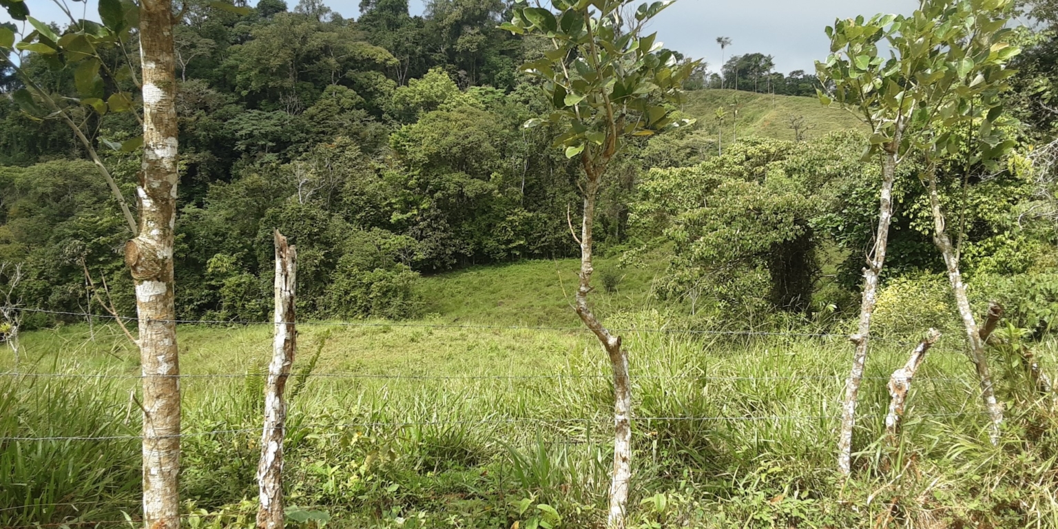 Glorious Finca with Waterfall and Ocean Views Included in Uvita Costa Rica Glorious Finca with Waterfall and Ocean Views Included in Uvita Costa Rica