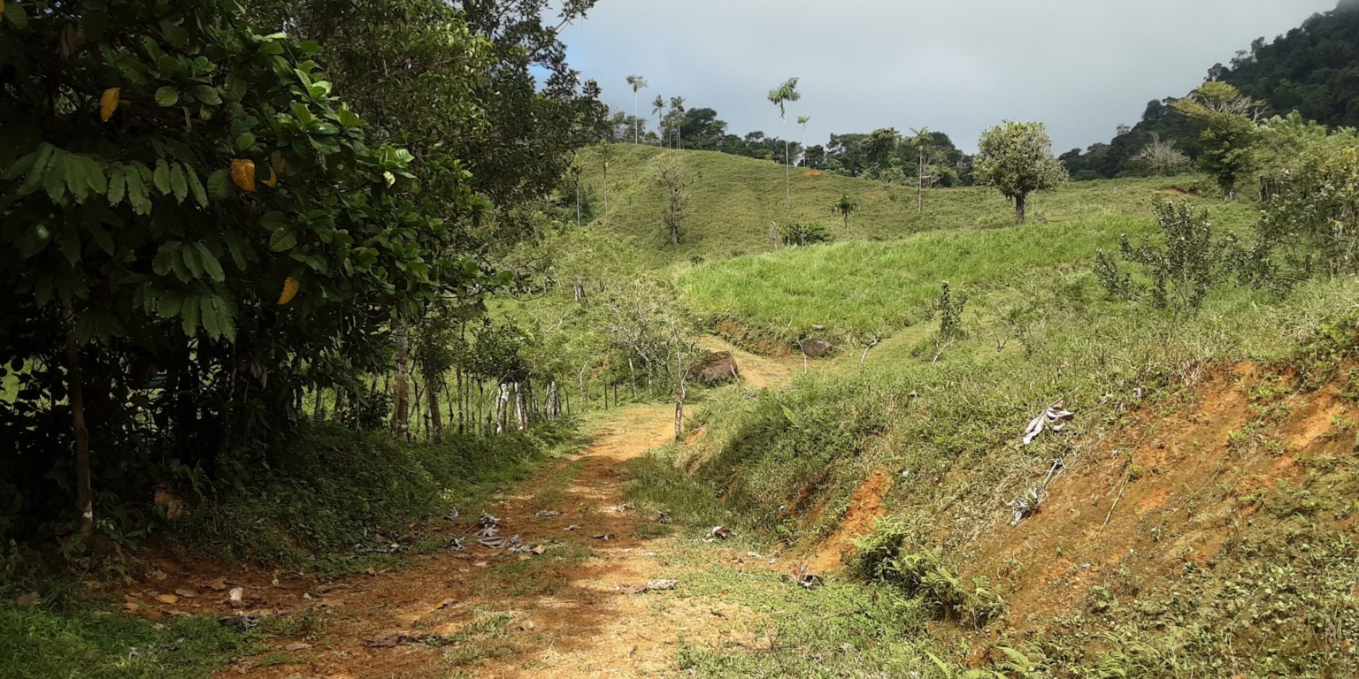 Glorious Finca with Waterfall and Ocean Views Included in Uvita Costa Rica Glorious Finca with Waterfall and Ocean Views Included in Uvita Costa Rica