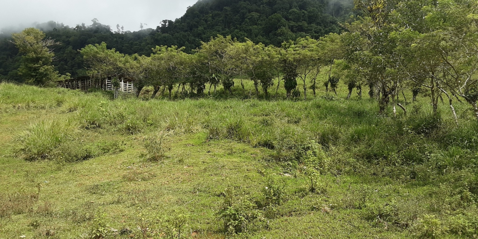 Glorious Finca with Waterfall and Ocean Views Included in Uvita Costa Rica Glorious Finca with Waterfall and Ocean Views Included in Uvita Costa Rica