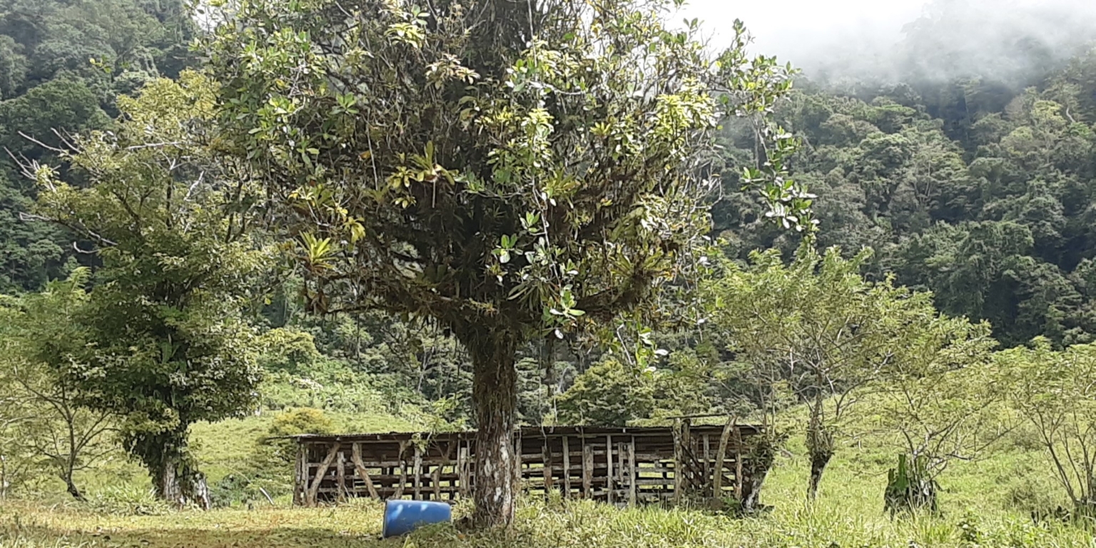 Glorious Finca with Waterfall and Ocean Views Included in Uvita Costa Rica Glorious Finca with Waterfall and Ocean Views Included in Uvita Costa Rica