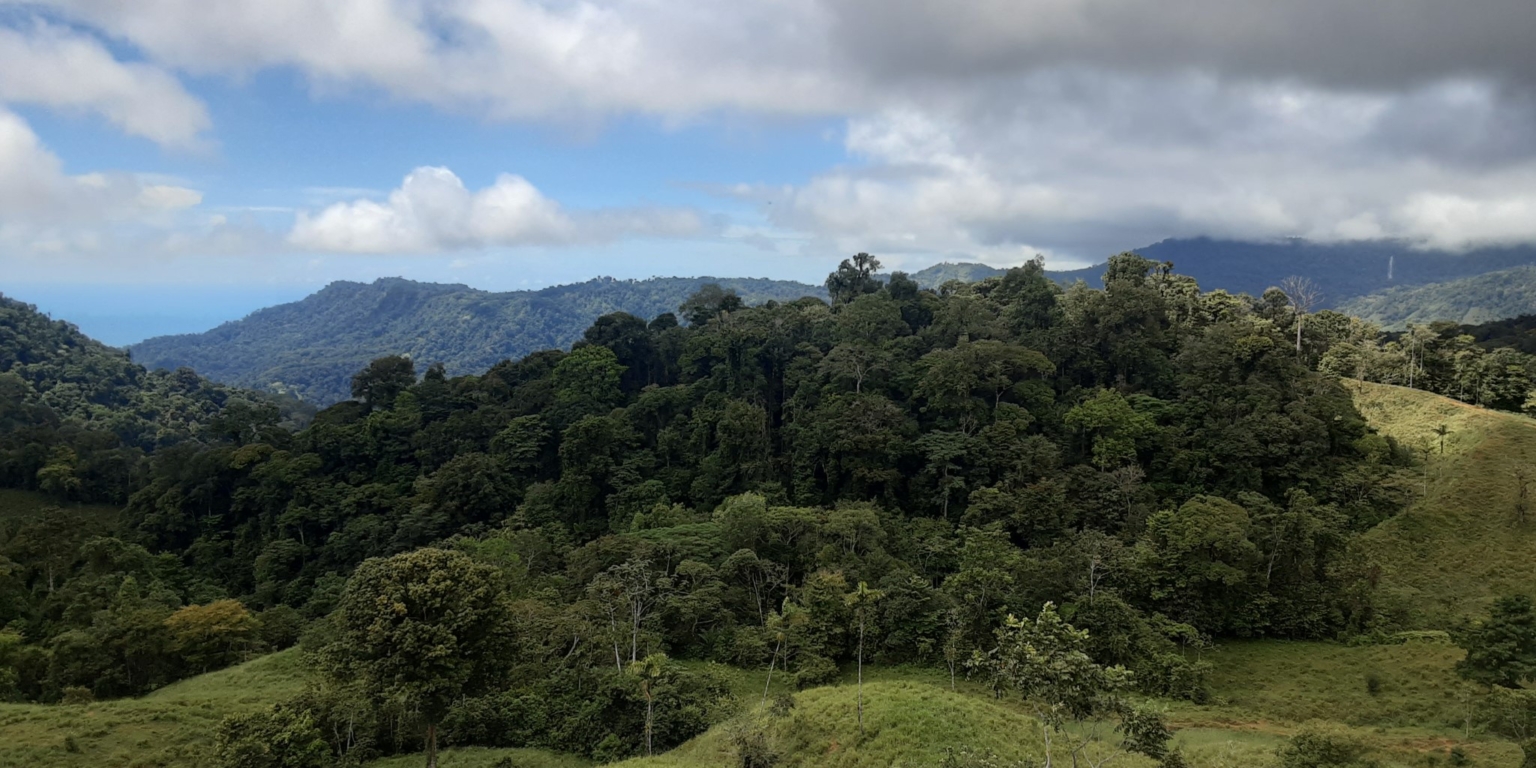 Glorious Finca with Waterfall and Ocean Views Included in Uvita Costa Rica Glorious Finca with Waterfall and Ocean Views Included in Uvita Costa Rica
