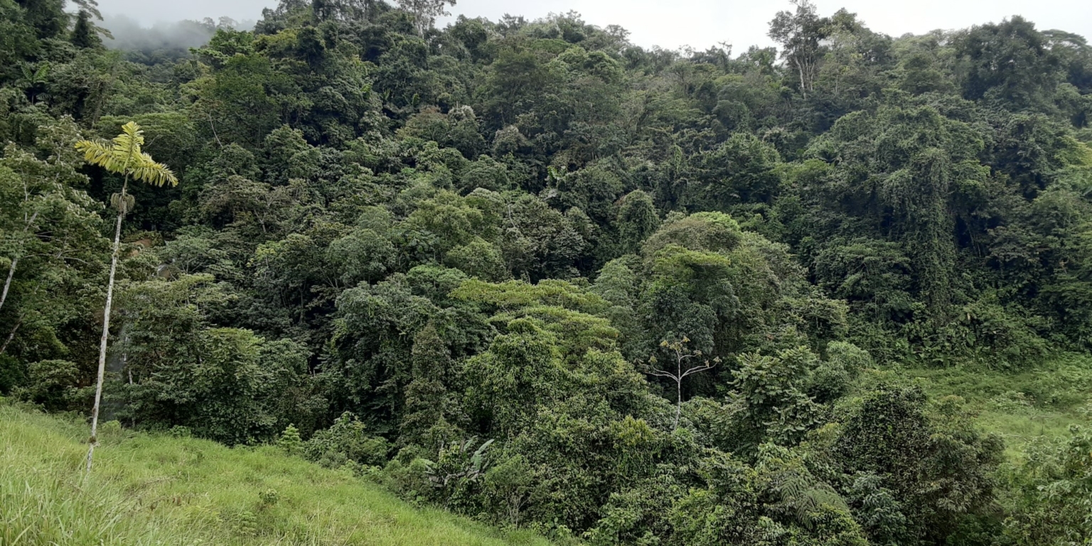 Glorious Finca with Waterfall and Ocean Views Included in Uvita Costa Rica Glorious Finca with Waterfall and Ocean Views Included in Uvita Costa Rica