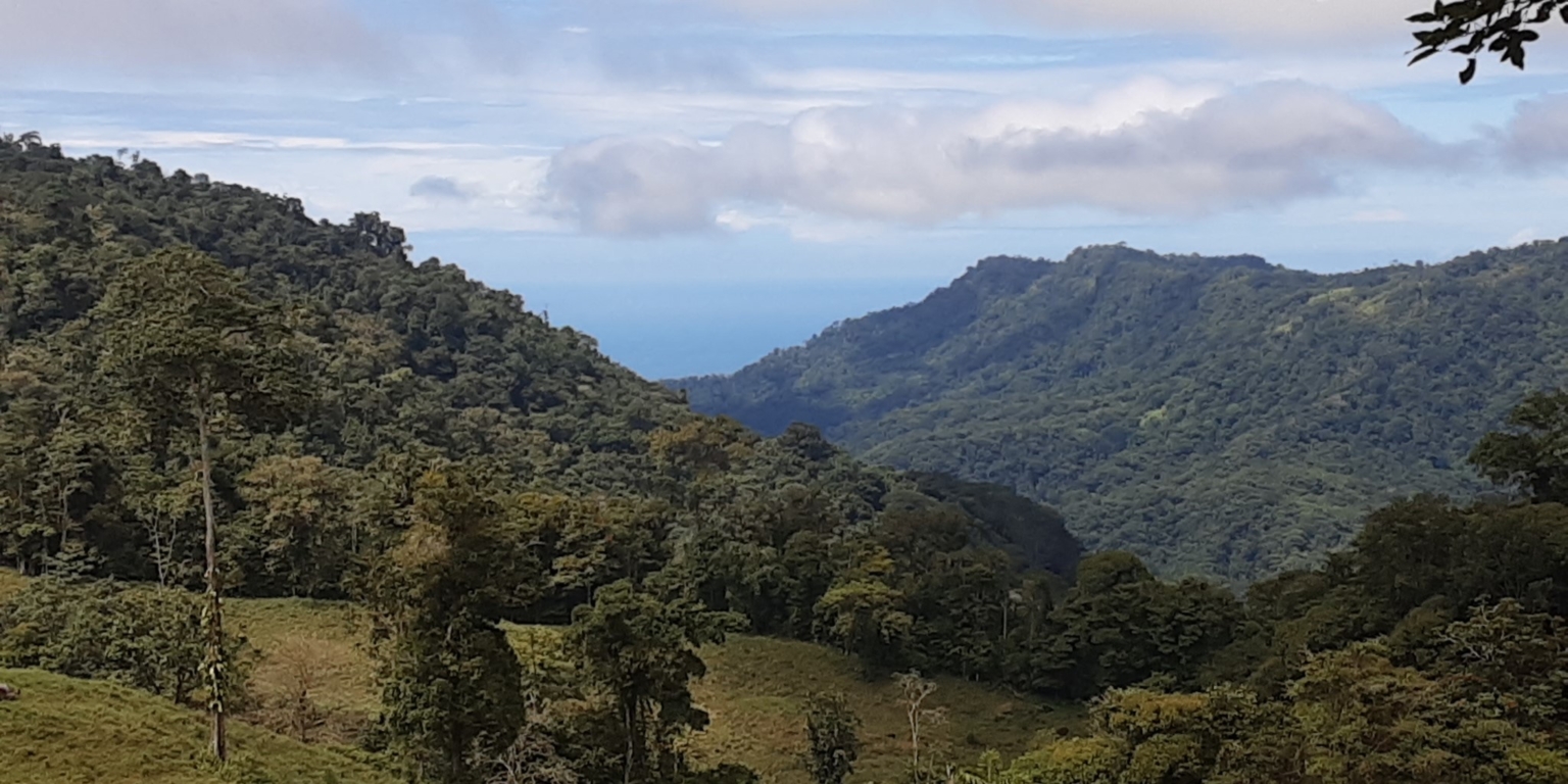 Glorious Finca with Waterfall and Ocean Views Included in Uvita Costa Rica Glorious Finca with Waterfall and Ocean Views Included in Uvita Costa Rica