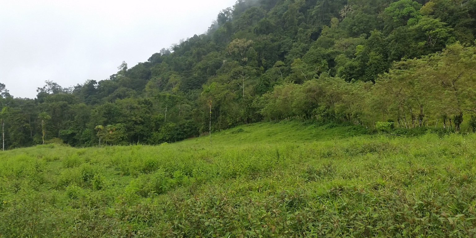 Glorious Finca with Waterfall and Ocean Views Included in Uvita Costa Rica Glorious Finca with Waterfall and Ocean Views Included in Uvita Costa Rica