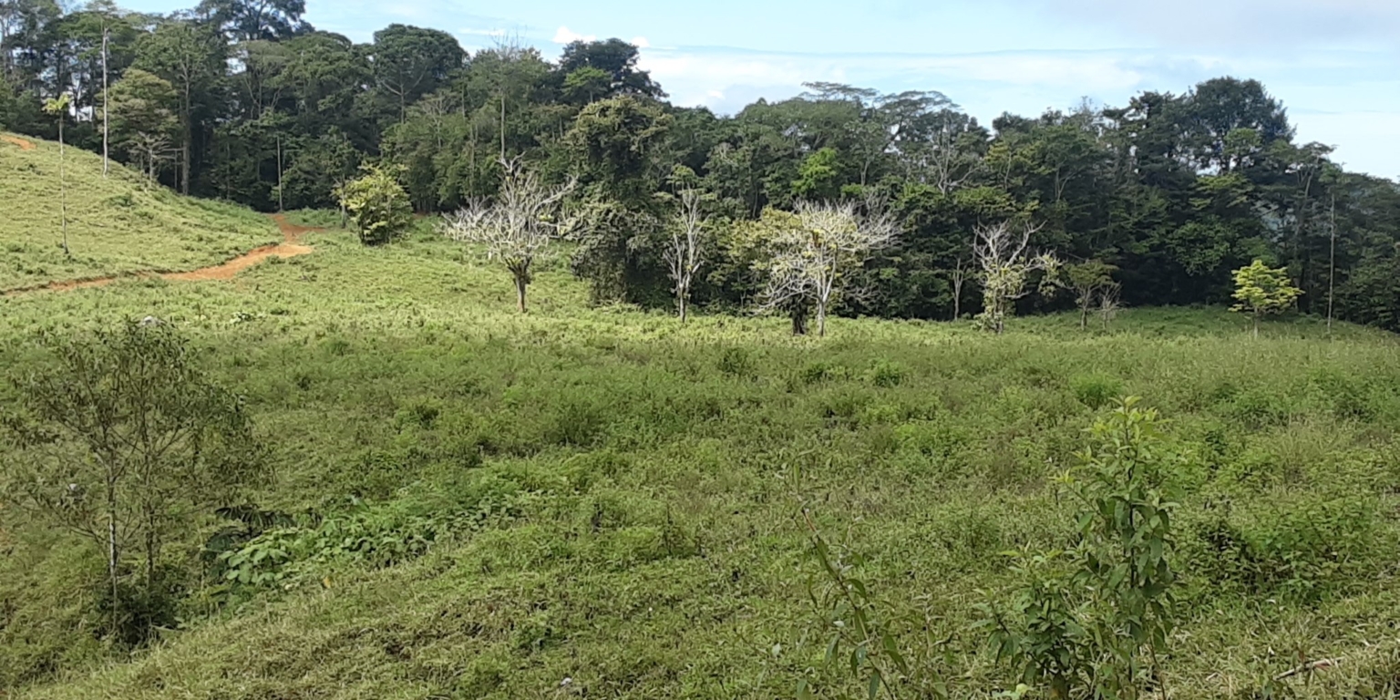 Glorious Finca with Waterfall and Ocean Views Included in Uvita Costa Rica Glorious Finca with Waterfall and Ocean Views Included in Uvita Costa Rica