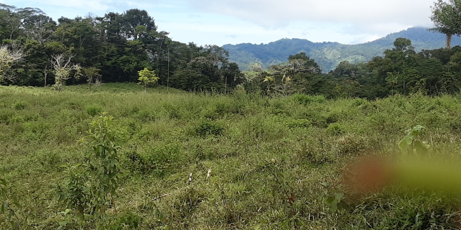 Glorious Finca with Waterfall and Ocean Views Included in Uvita Costa Rica Glorious Finca with Waterfall and Ocean Views Included in Uvita Costa Rica