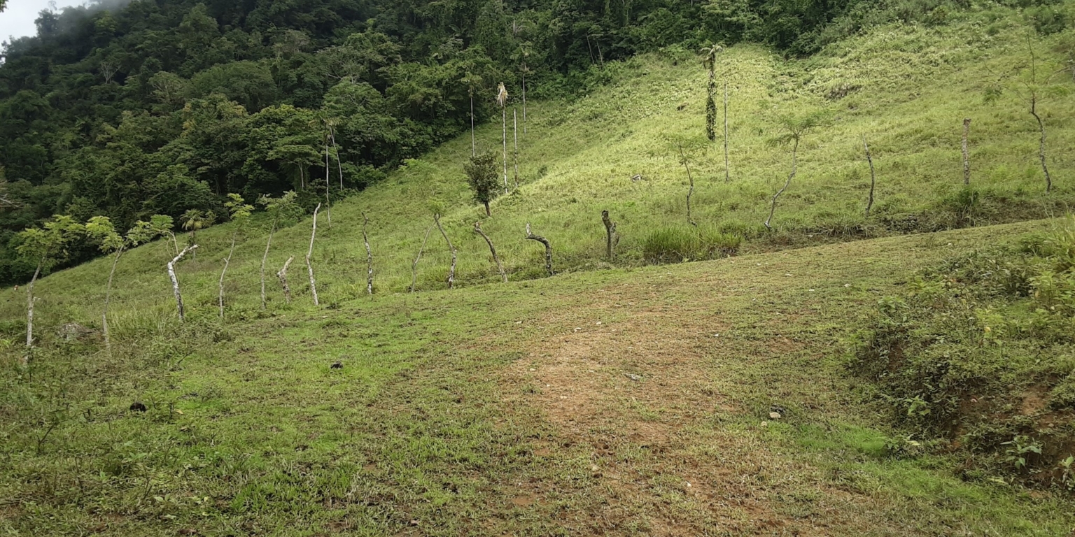 Glorious Finca with Waterfall and Ocean Views Included in Uvita Costa Rica Glorious Finca with Waterfall and Ocean Views Included in Uvita Costa Rica