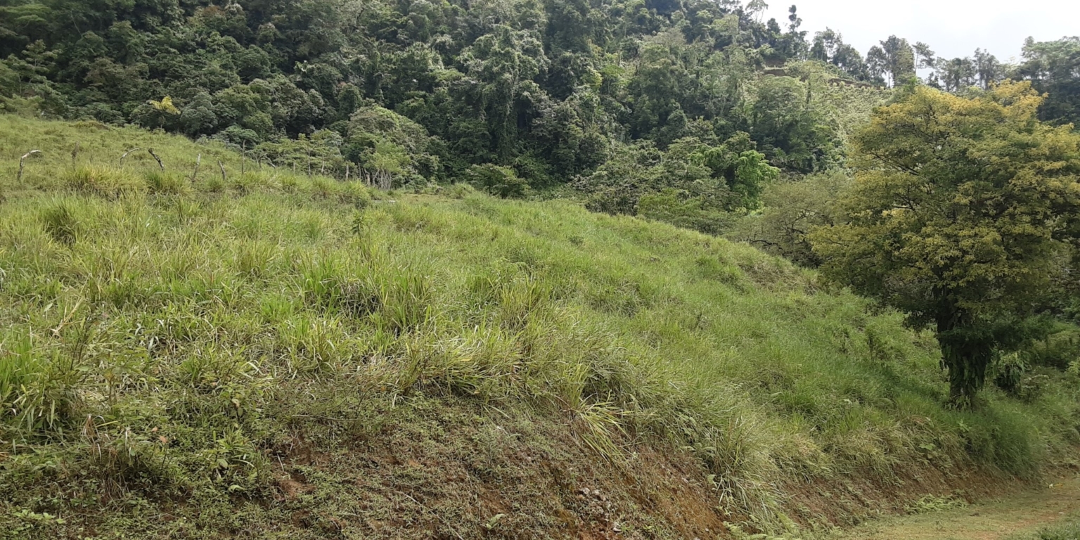 Glorious Finca with Waterfall and Ocean Views Included in Uvita Costa Rica Glorious Finca with Waterfall and Ocean Views Included in Uvita Costa Rica