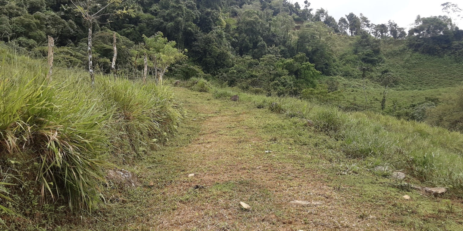 Glorious Finca with Waterfall and Ocean Views Included in Uvita Costa Rica Glorious Finca with Waterfall and Ocean Views Included in Uvita Costa Rica