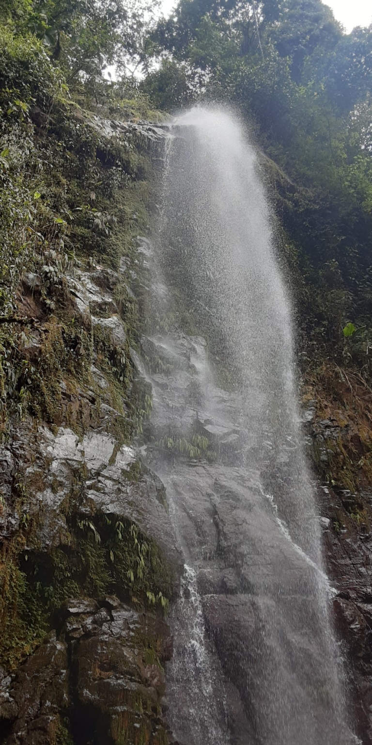 Glorious Finca with Waterfall and Ocean Views Included in Uvita Costa Rica Glorious Finca with Waterfall and Ocean Views Included in Uvita Costa Rica