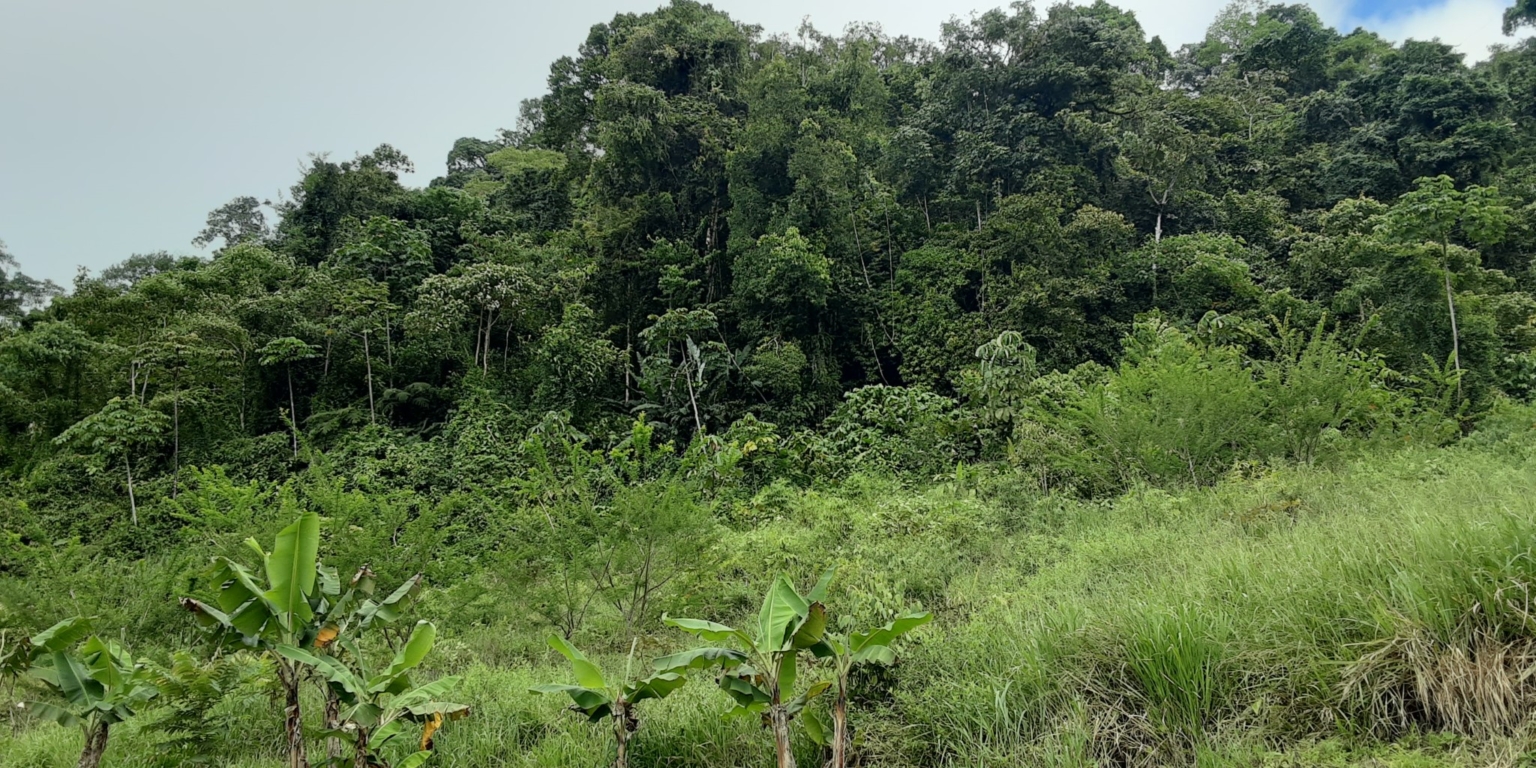 Glorious Finca with Waterfall and Ocean Views Included in Uvita Costa Rica Glorious Finca with Waterfall and Ocean Views Included in Uvita Costa Rica