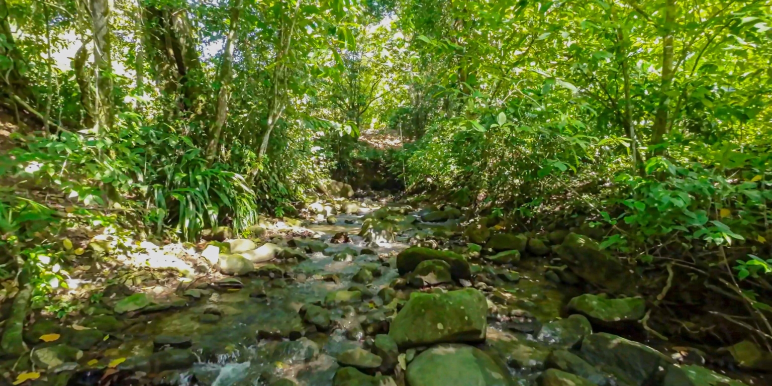 Fully Renovated Home by the River in Las Brisas Community with an Acres of Land in Uvita Costa Rica Fully Renovated Home by the River in Las Brisas Community with an Acres of Land in Uvita Costa Rica