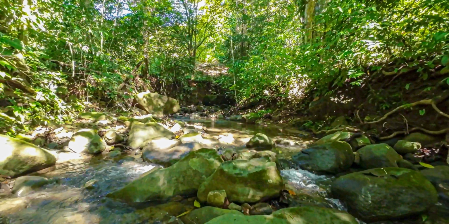 Fully Renovated Home by the River in Las Brisas Community with an Acres of Land in Uvita Costa Rica Fully Renovated Home by the River in Las Brisas Community with an Acres of Land in Uvita Costa Rica