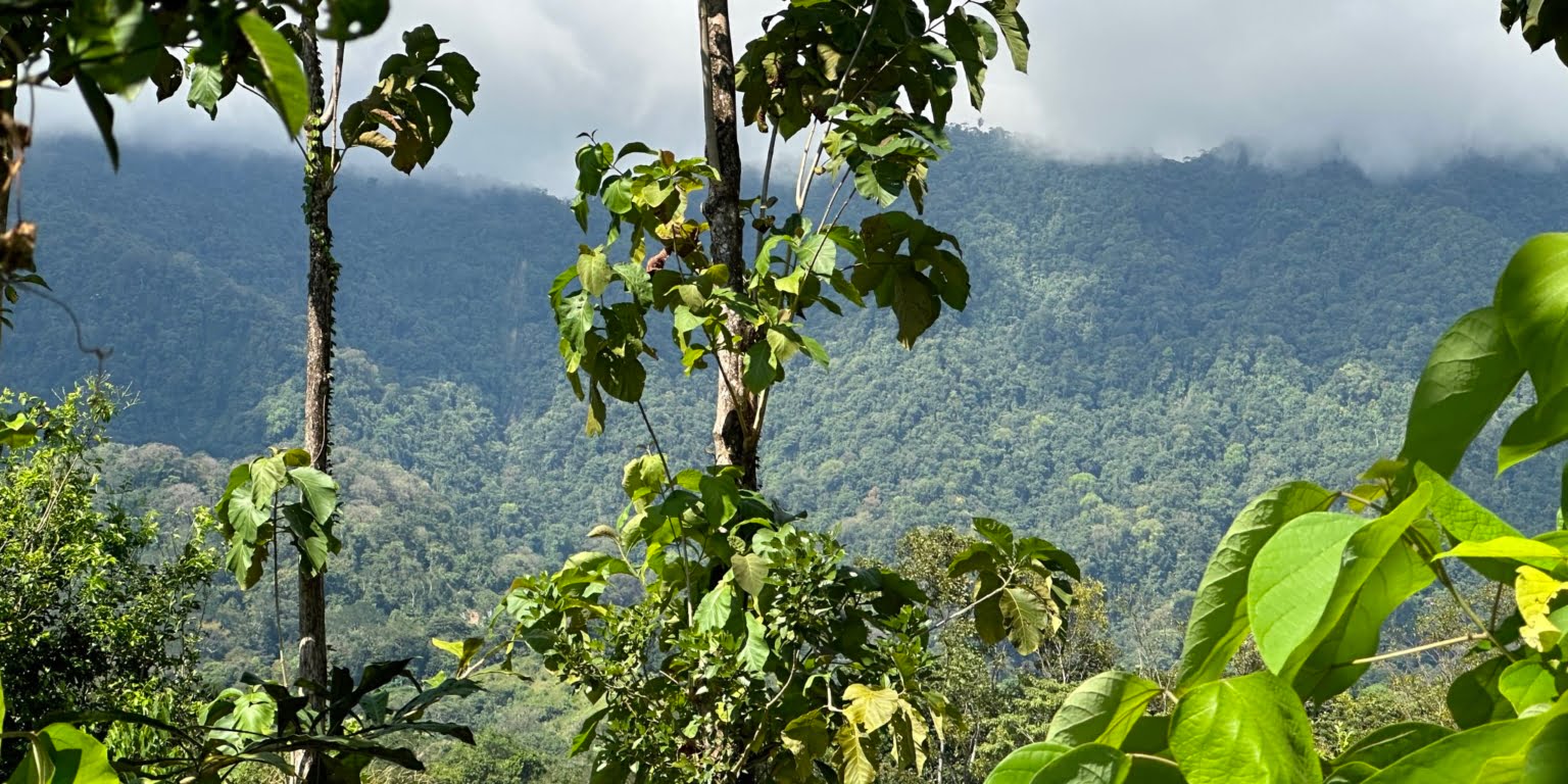 Mountain View 3+ Acre Lot Ready for Development in the Heart of Ojochal Costa Rica