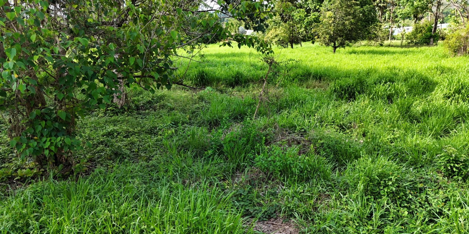 Mountain View 3+ Acre Lot Ready for Development in the Heart of Ojochal Costa Rica