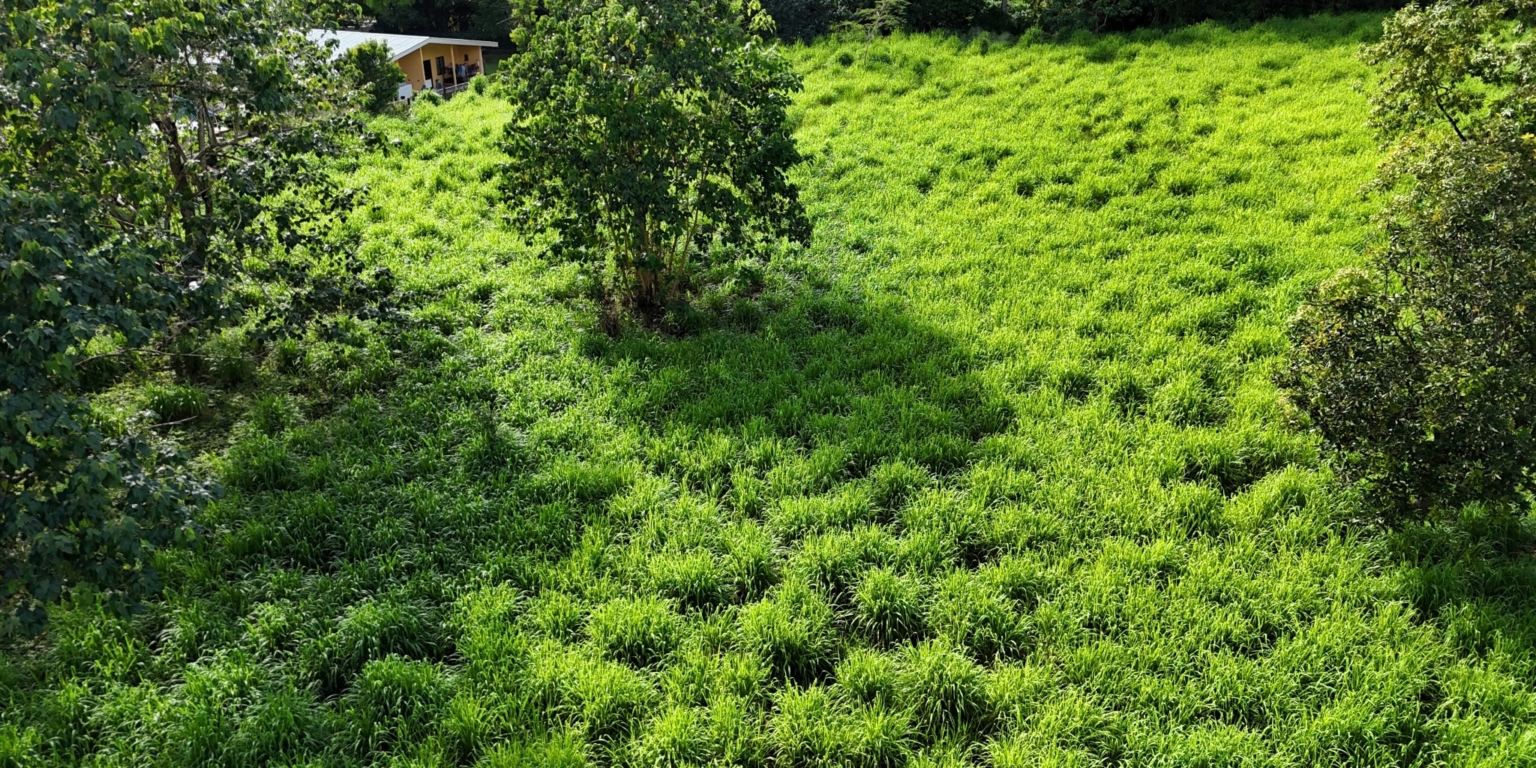 Mountain View 3+ Acre Lot Ready for Development in the Heart of Ojochal Costa Rica