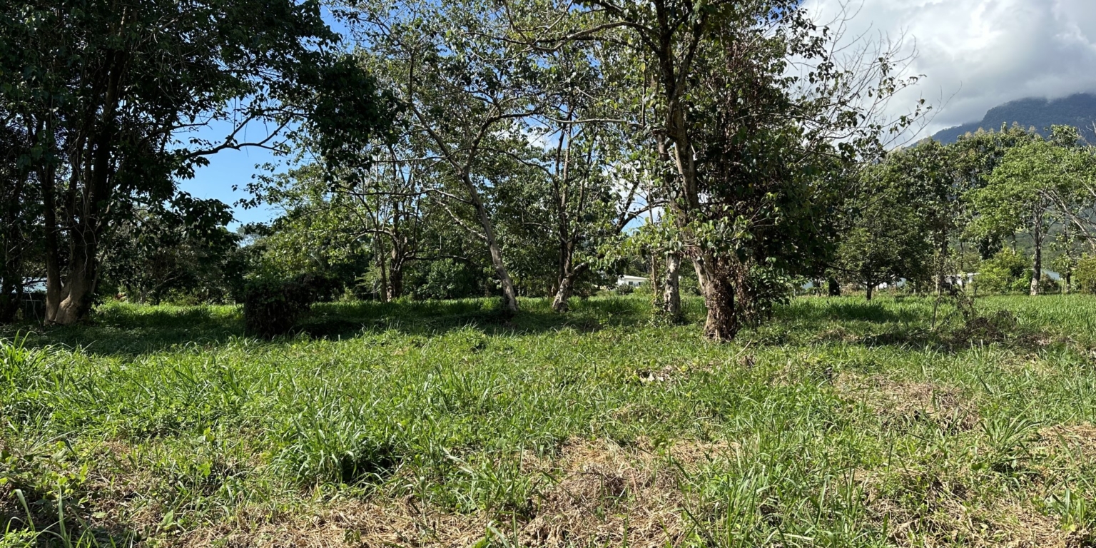 Mountain View 3+ Acre Lot Ready for Development in the Heart of Ojochal Costa Rica