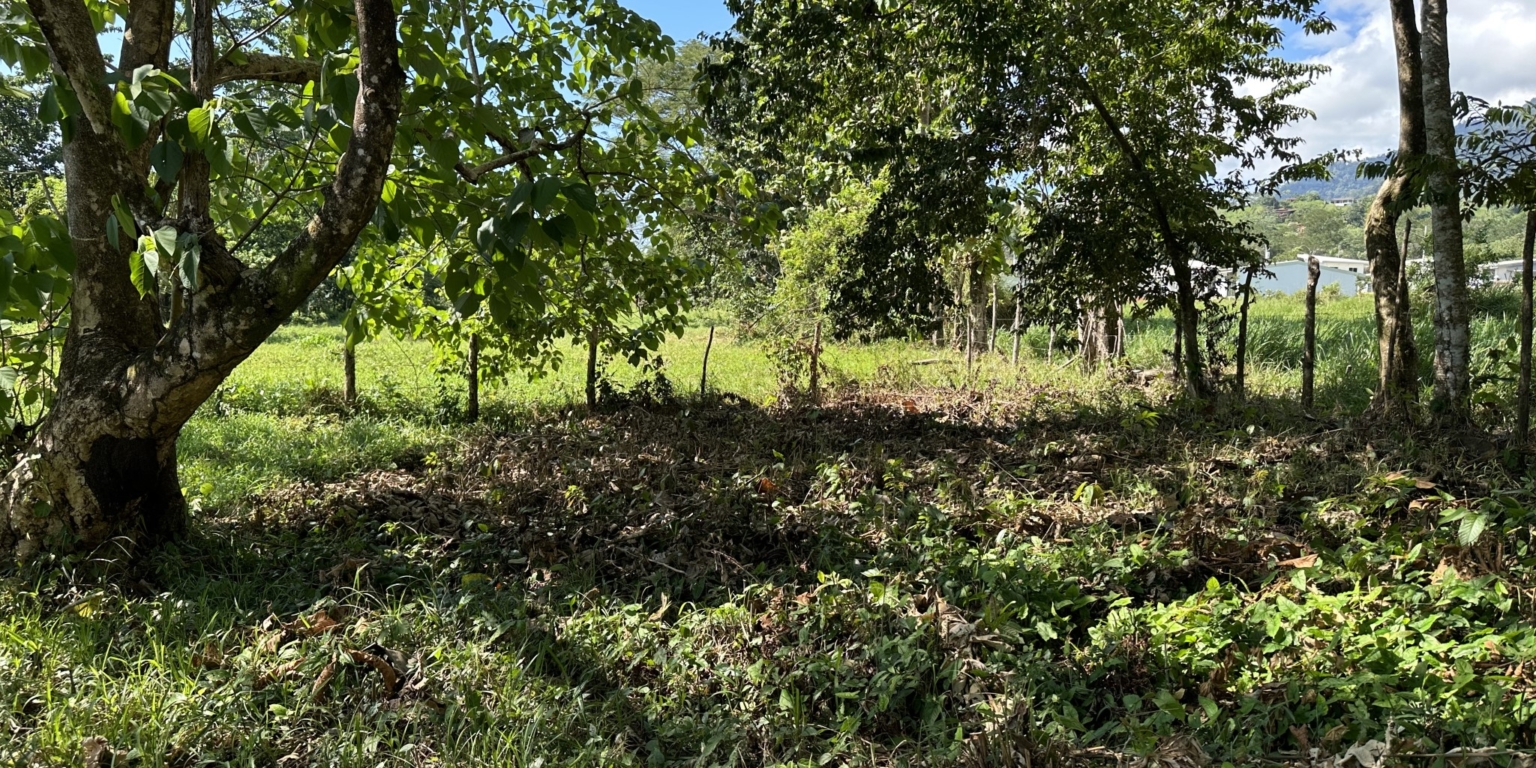 Mountain View 3+ Acre Lot Ready for Development in the Heart of Ojochal Costa Rica