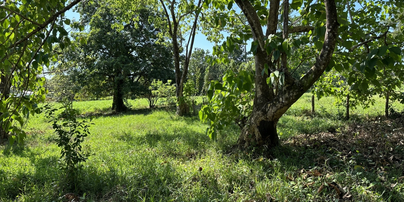 Mountain View 3+ Acre Lot Ready for Development in the Heart of Ojochal Costa Rica