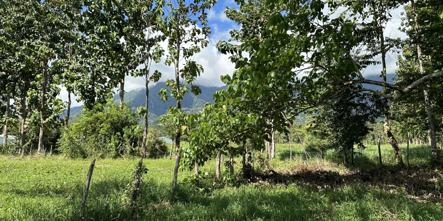 Mountain View 3+ Acre Lot Ready for Development in the Heart of Ojochal Costa Rica