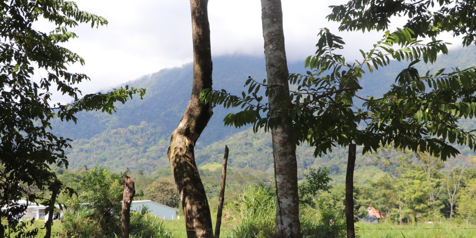 Mountain View 3+ Acre Lot Ready for Development in the Heart of Ojochal Costa Rica