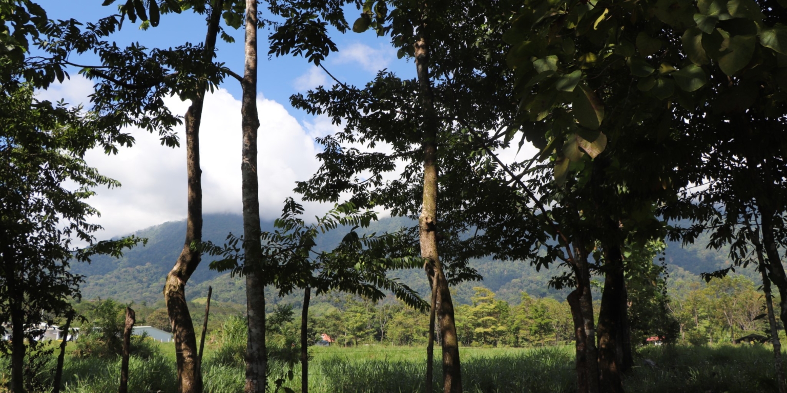 Mountain View 3+ Acre Lot Ready for Development in the Heart of Ojochal Costa Rica