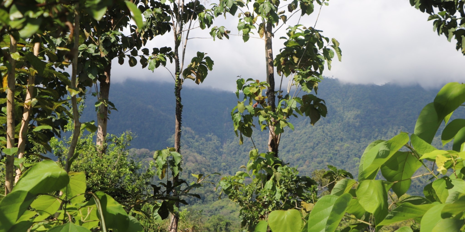 Mountain View 3+ Acre Lot Ready for Development in the Heart of Ojochal Costa Rica