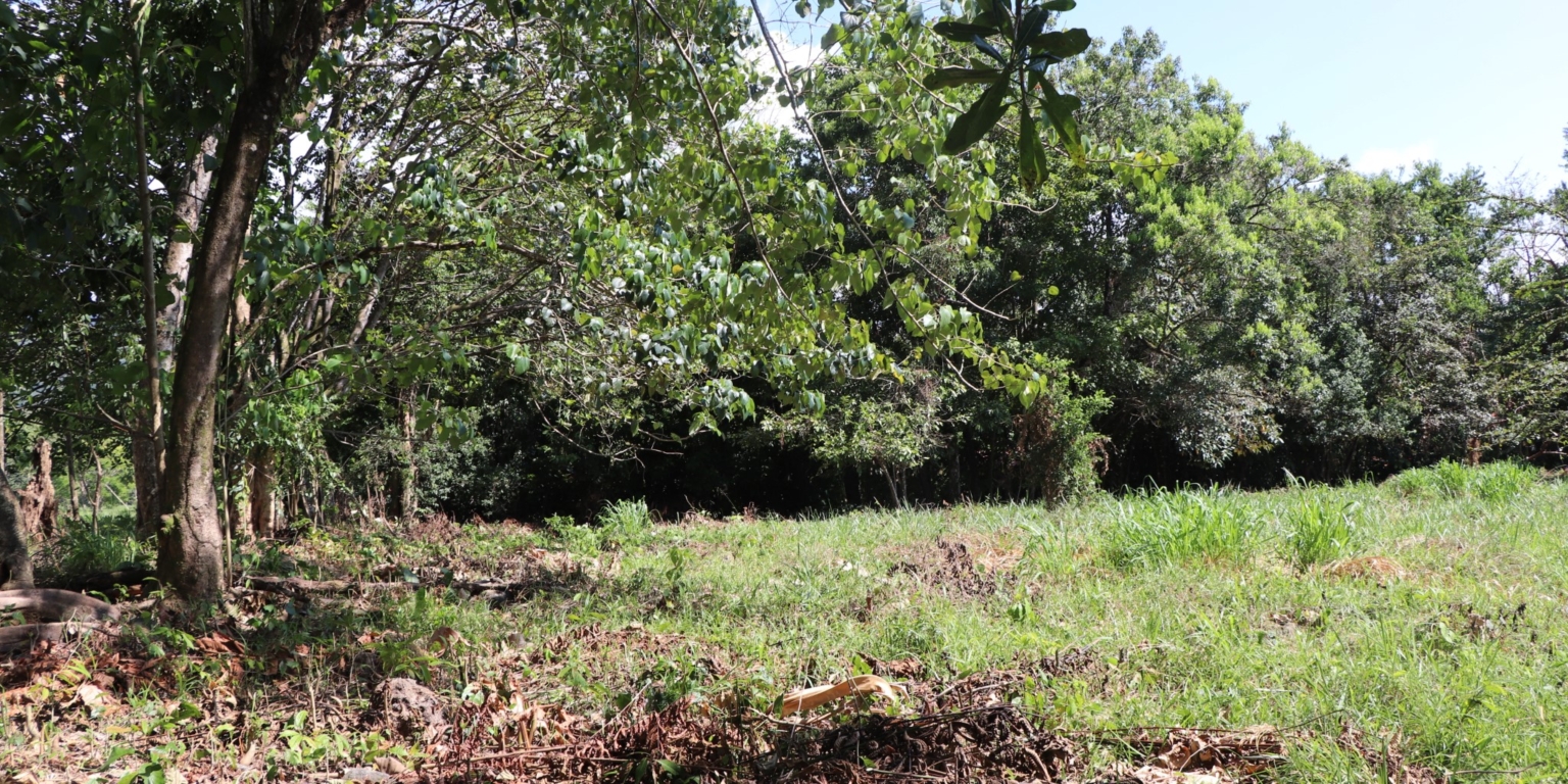 Mountain View 3+ Acre Lot Ready for Development in the Heart of Ojochal Costa Rica