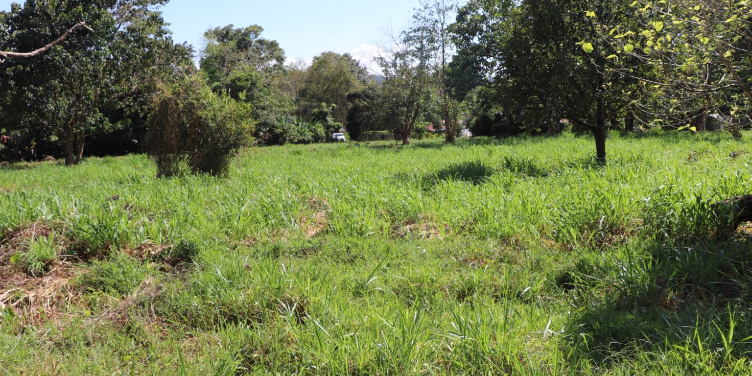 Mountain View 3+ Acre Lot Ready for Development in the Heart of Ojochal Costa Rica