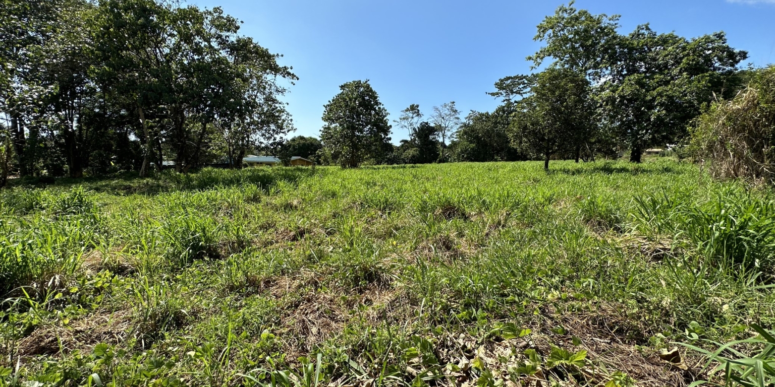 Mountain View 3+ Acre Lot Ready for Development in the Heart of Ojochal Costa Rica
