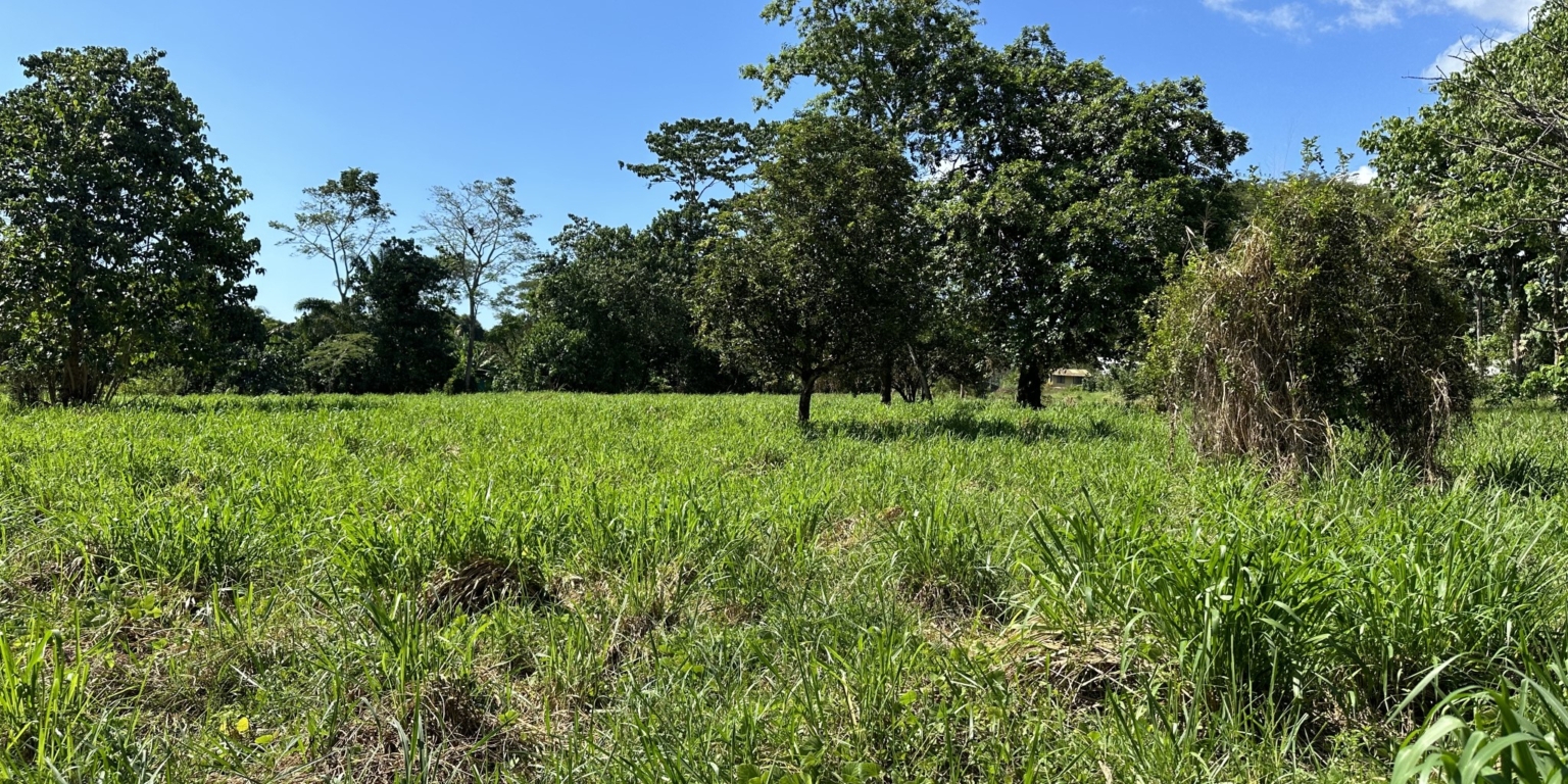 Mountain View 3+ Acre Lot Ready for Development in the Heart of Ojochal Costa Rica