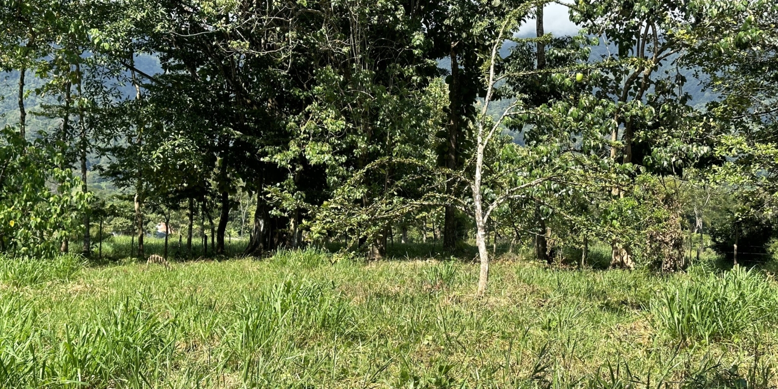 Mountain View 3+ Acre Lot Ready for Development in the Heart of Ojochal Costa Rica