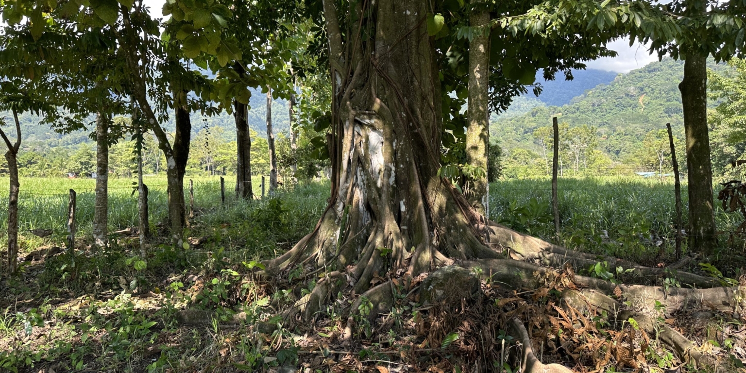 Mountain View 3+ Acre Lot Ready for Development in the Heart of Ojochal Costa Rica