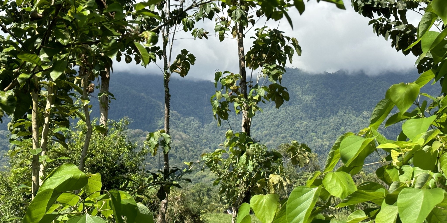 Mountain View 3+ Acre Lot Ready for Development in the Heart of Ojochal Costa Rica