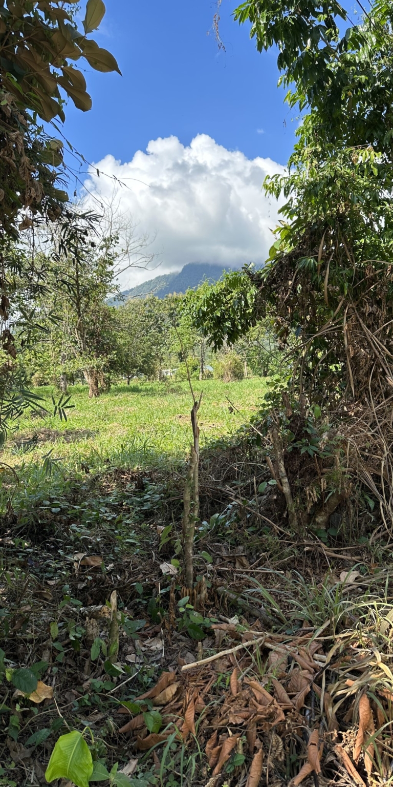 Mountain View 3+ Acre Lot Ready for Development in the Heart of Ojochal Costa Rica