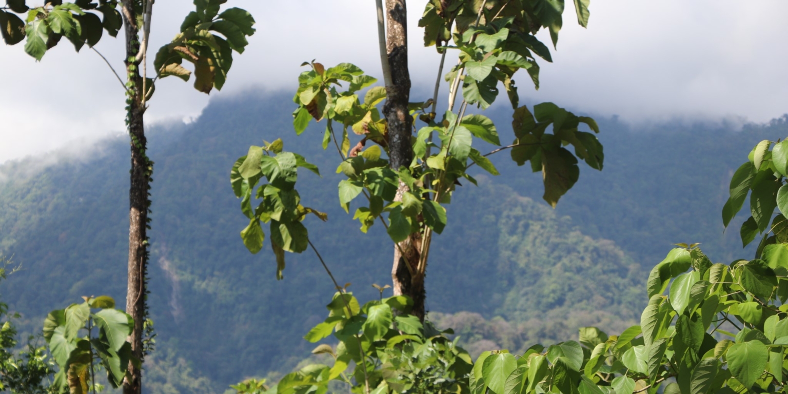 Mountain View 3+ Acre Lot Ready for Development in the Heart of Ojochal Costa Rica