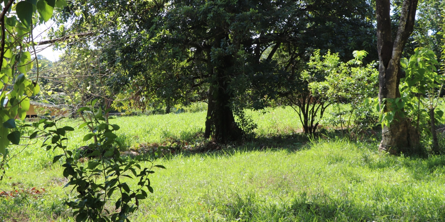 Mountain View 3+ Acre Lot Ready for Development in the Heart of Ojochal Costa Rica