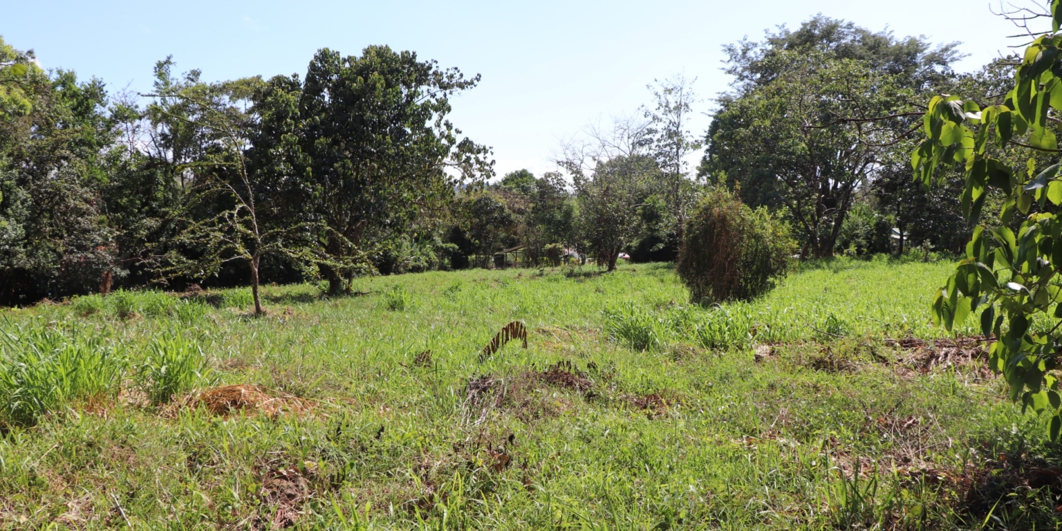 Mountain View 3+ Acre Lot Ready for Development in the Heart of Ojochal Costa Rica