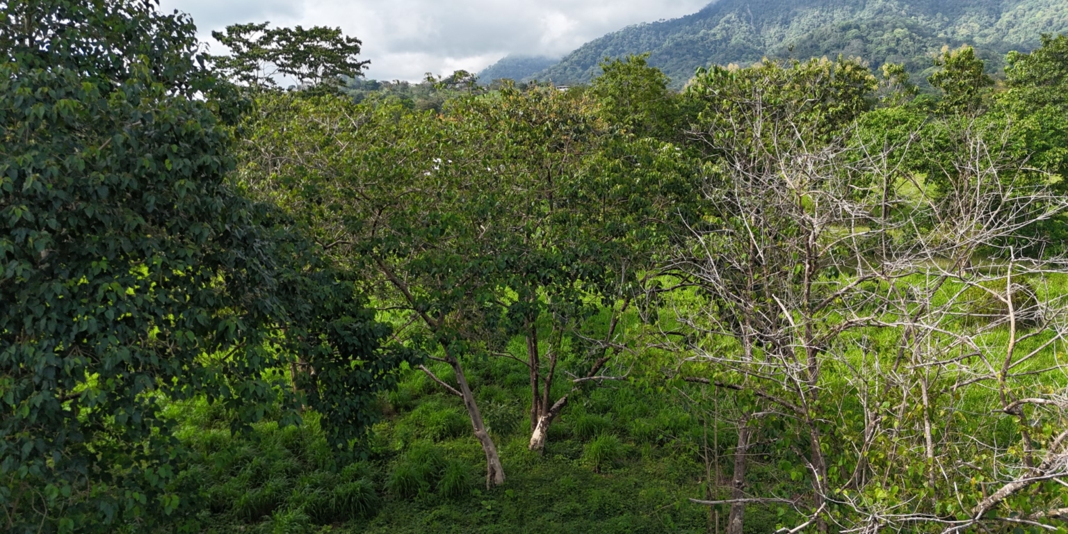Mountain View 3+ Acre Lot Ready for Development in the Heart of Ojochal Costa Rica