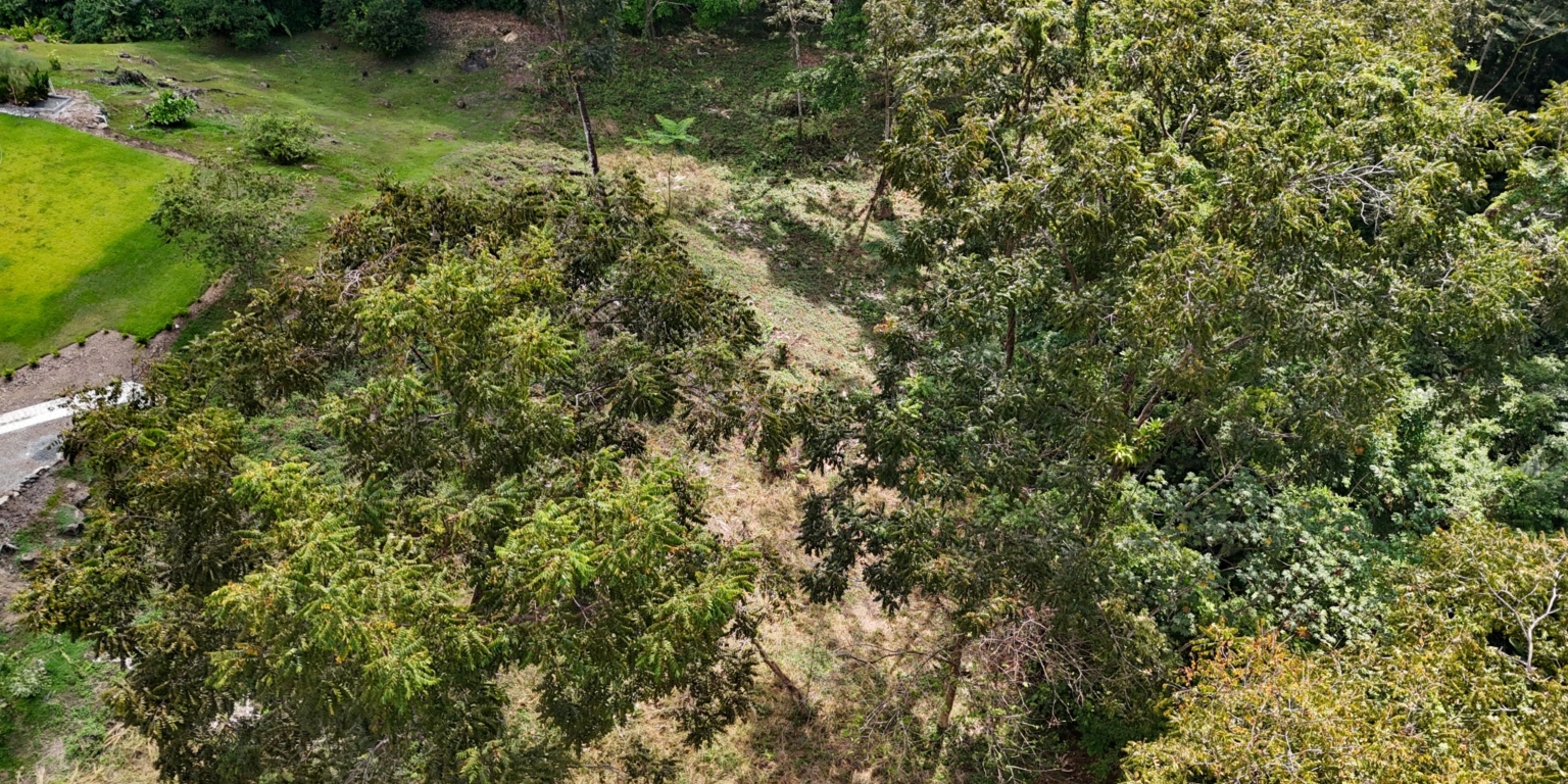 Stunning Mountain Views with River Frontage in One of the Most Sought-After Communities of Ojochal Costa Rica Stunning Mountain Views with River Frontage in One of the Most Sought-After Communities of Ojochal Costa Rica